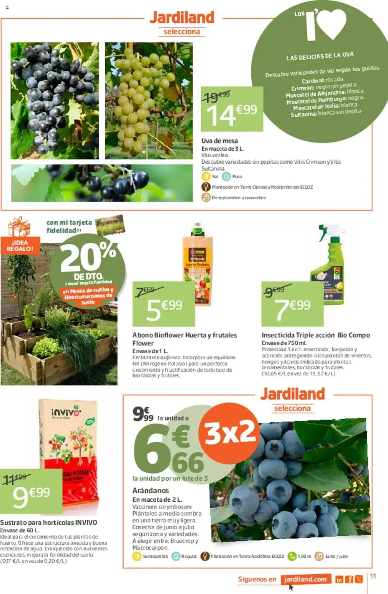 Catálogo de Folleto Jardiland 6 de marzo al 23 de marzo 2025 - Página 11