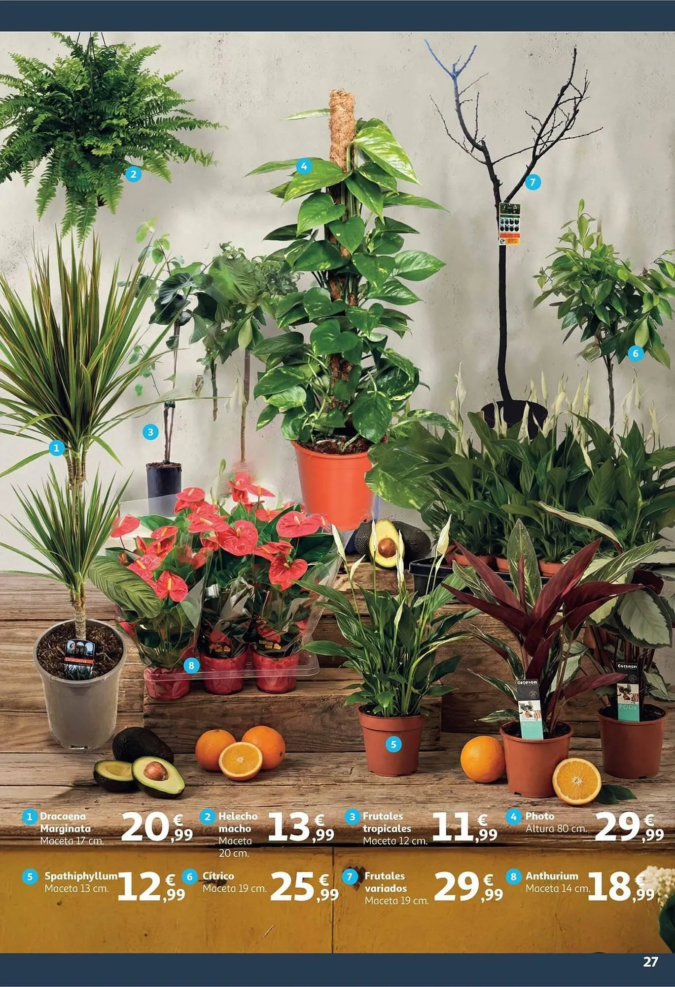 Catálogo de Folleto Alcampo 9 de enero al 25 de enero 2026 - Página 27