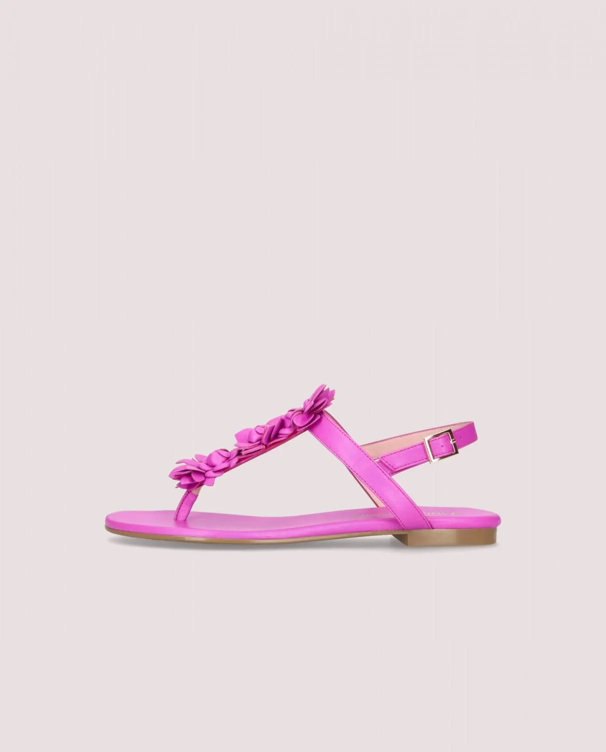 Entrega 6 - 7 días hábiles* | Envíos GRATIS