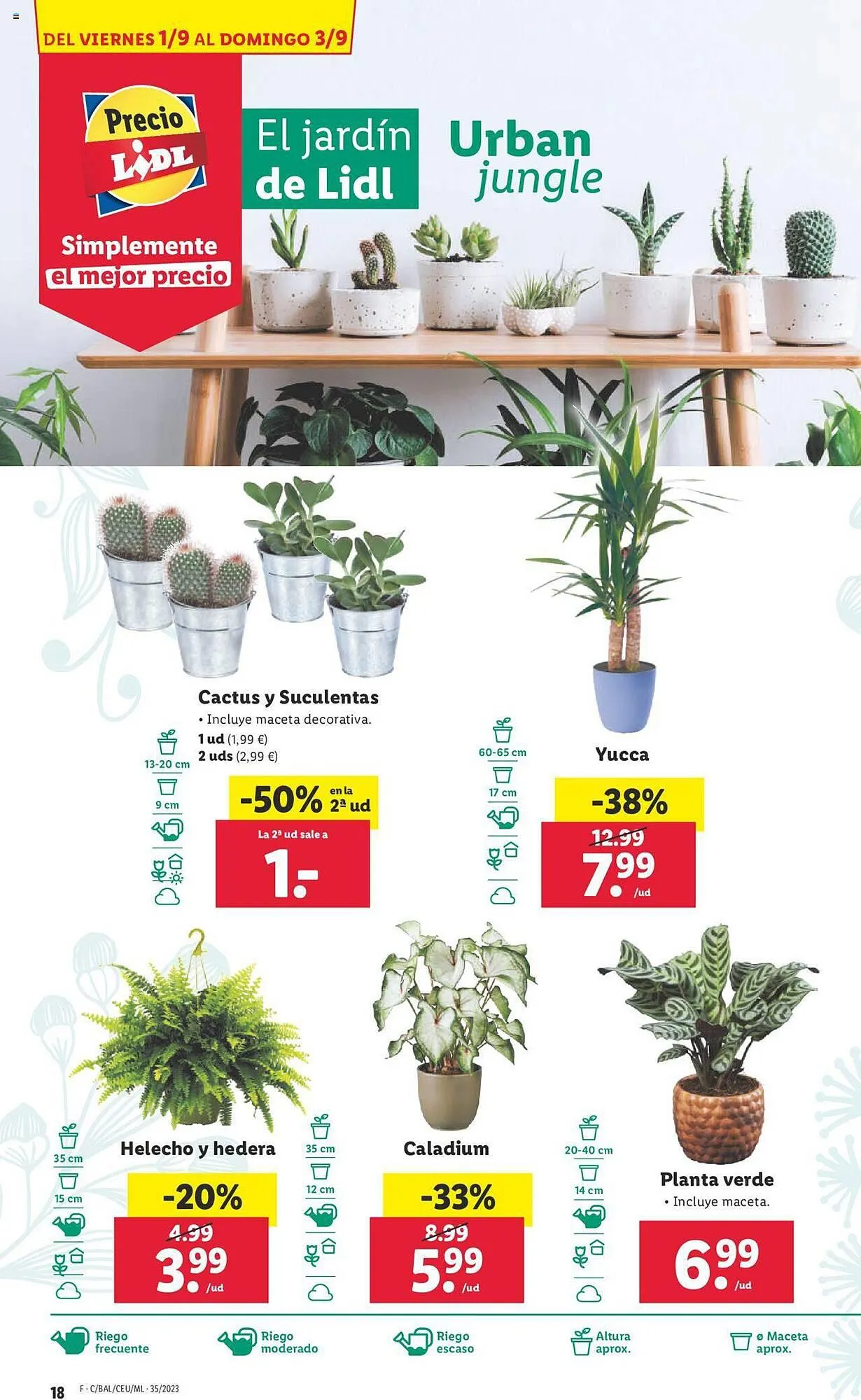 Catálogo de Folleto Lidl 28 de agosto al 3 de septiembre 2023 - Página 18