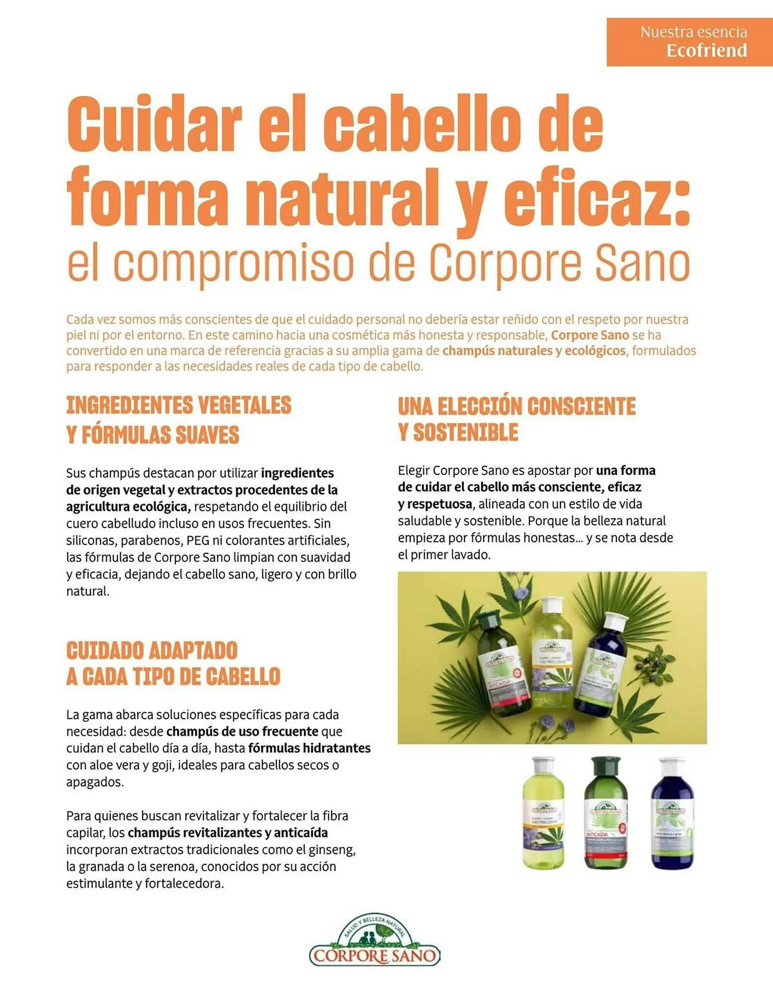 Catálogo de Catálogo Veritas 2 de marzo al 31 de marzo 2026 - Página 45