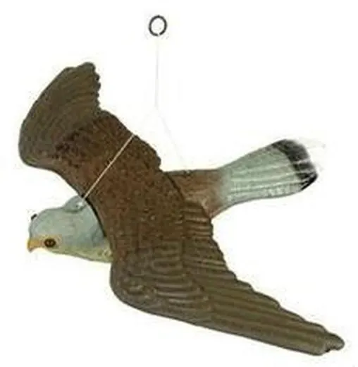 Águila ahuyentador eólico de aves