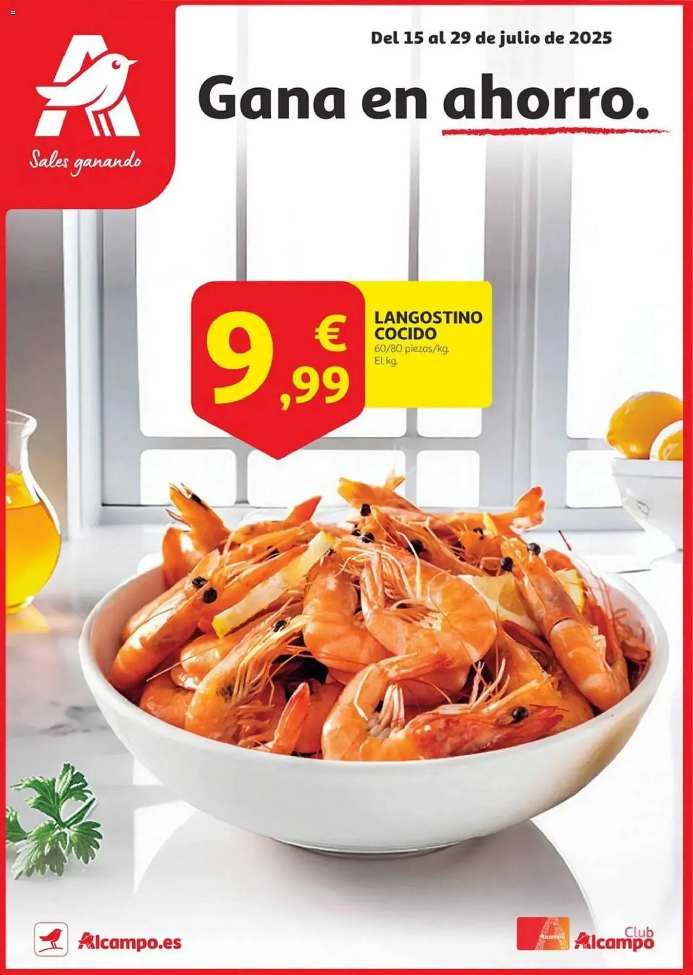Catálogo de Folleto Alcampo 15 de julio al 29 de julio 2025 - Página 1
