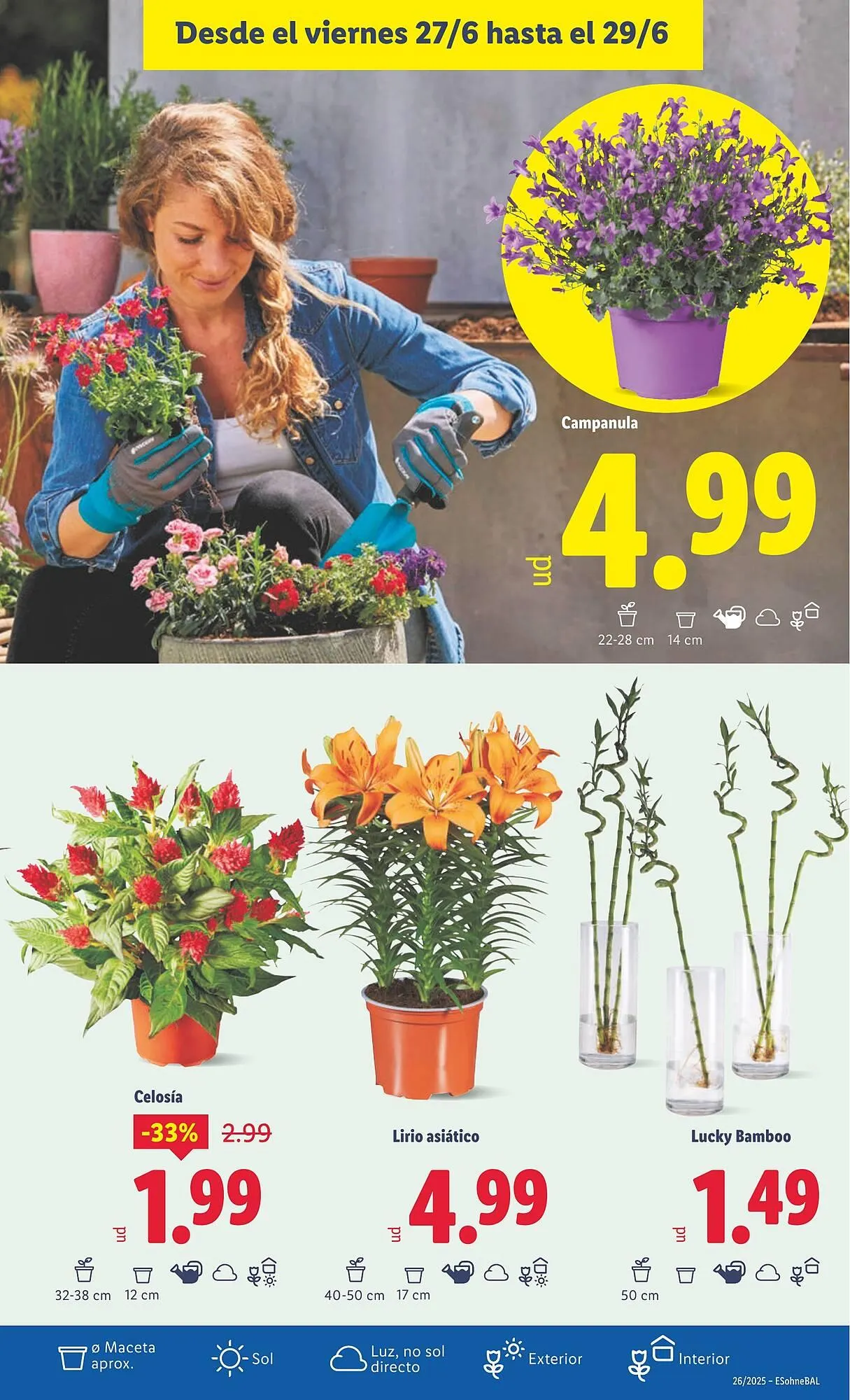 Catálogo de Folleto Lidl 23 de junio al 29 de junio 2025 - Página 19