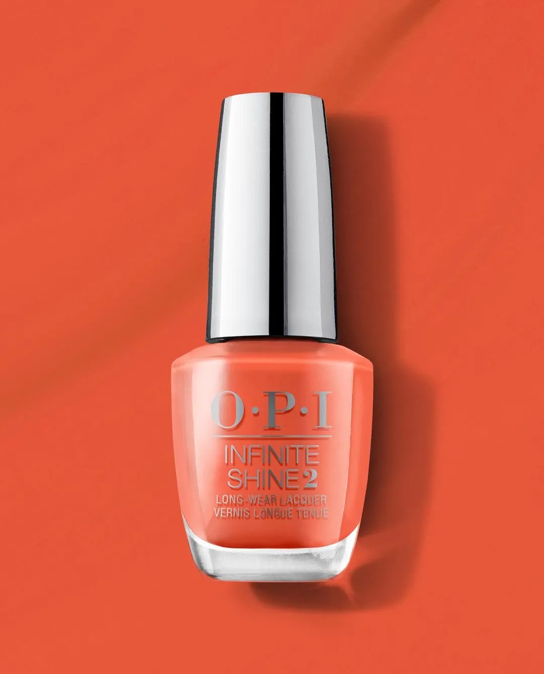 My Chihuahua Doesn't Bite Anymore