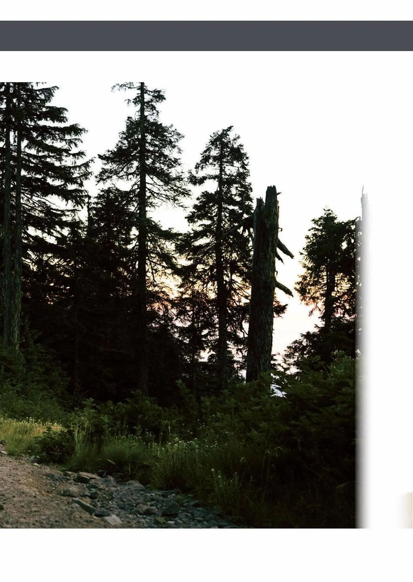 Catálogo de Folleto Toyota 8 de enero al 8 de enero 2024 - Página 27