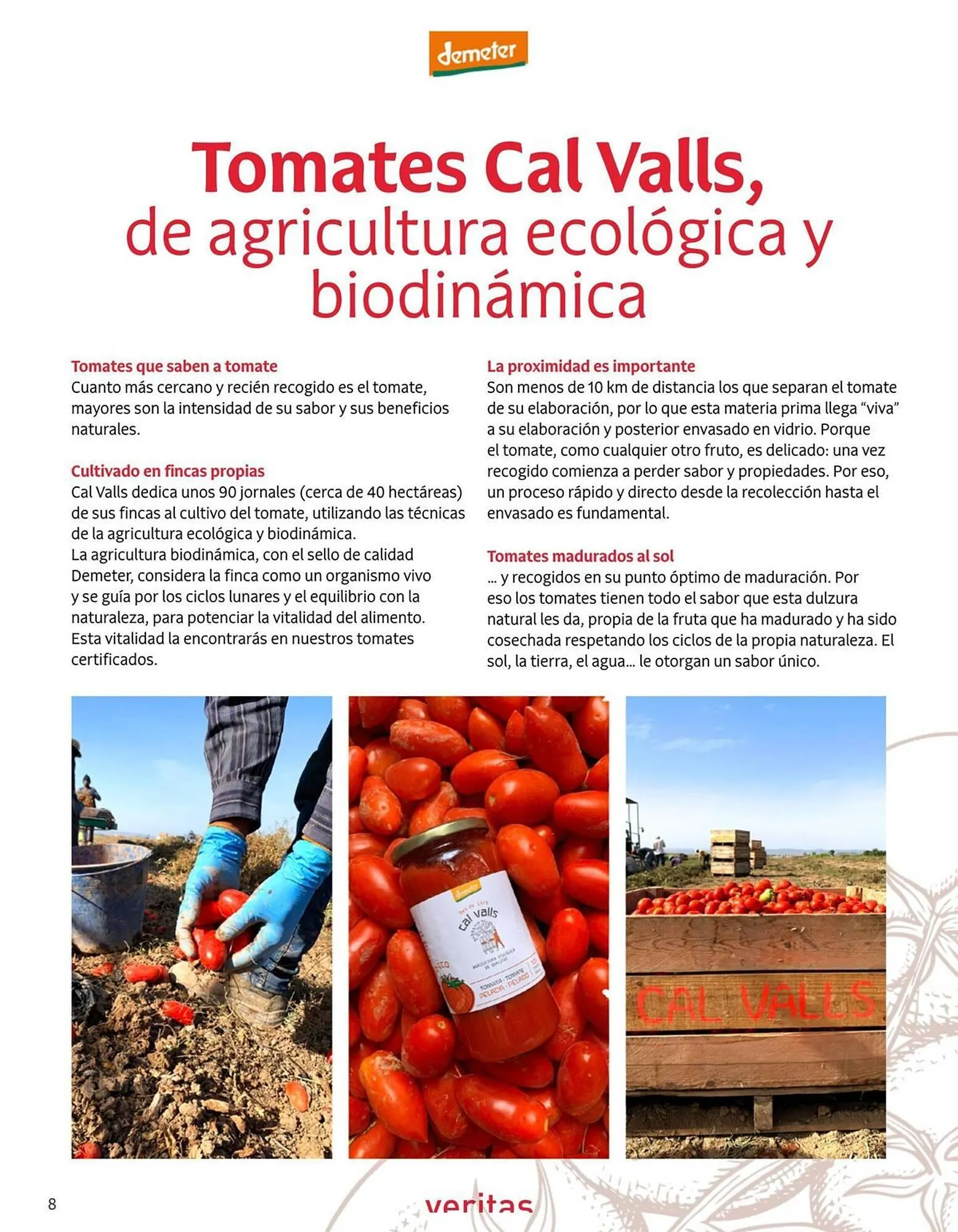 Catálogo de Catálogo Veritas 1 de octubre al 31 de octubre 2025 - Página 8