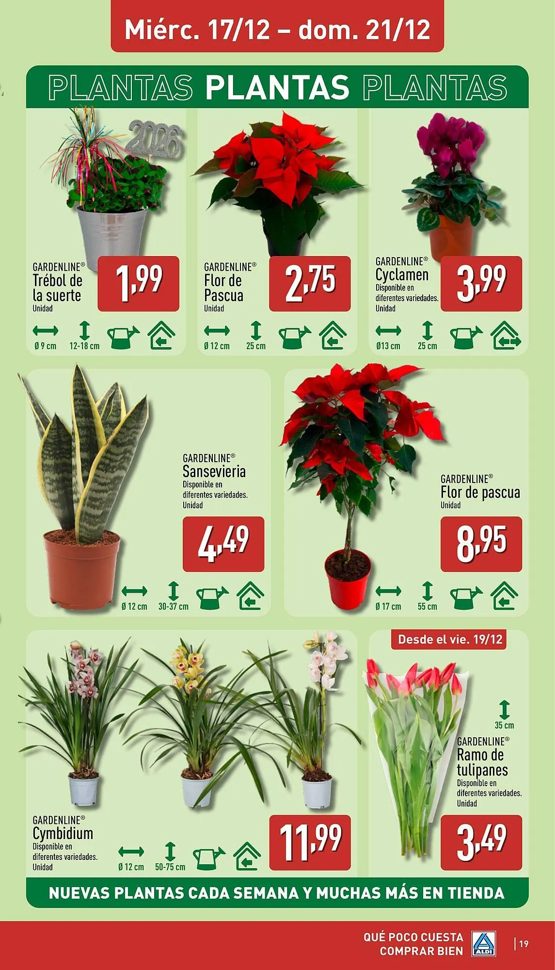 Catálogo de Folleto ALDI 15 de diciembre al 21 de diciembre 2025 - Página 19