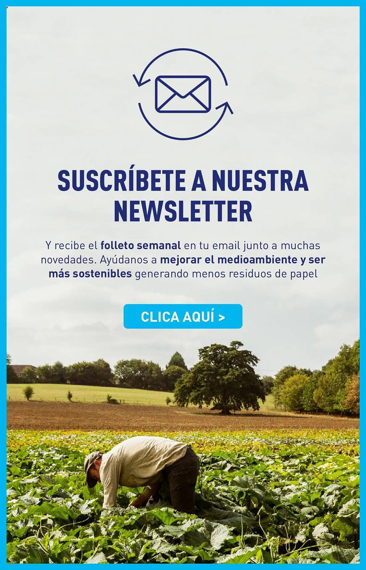 Catálogo de Folleto ALDI 31 de octubre al 7 de noviembre 2023 - Página 26