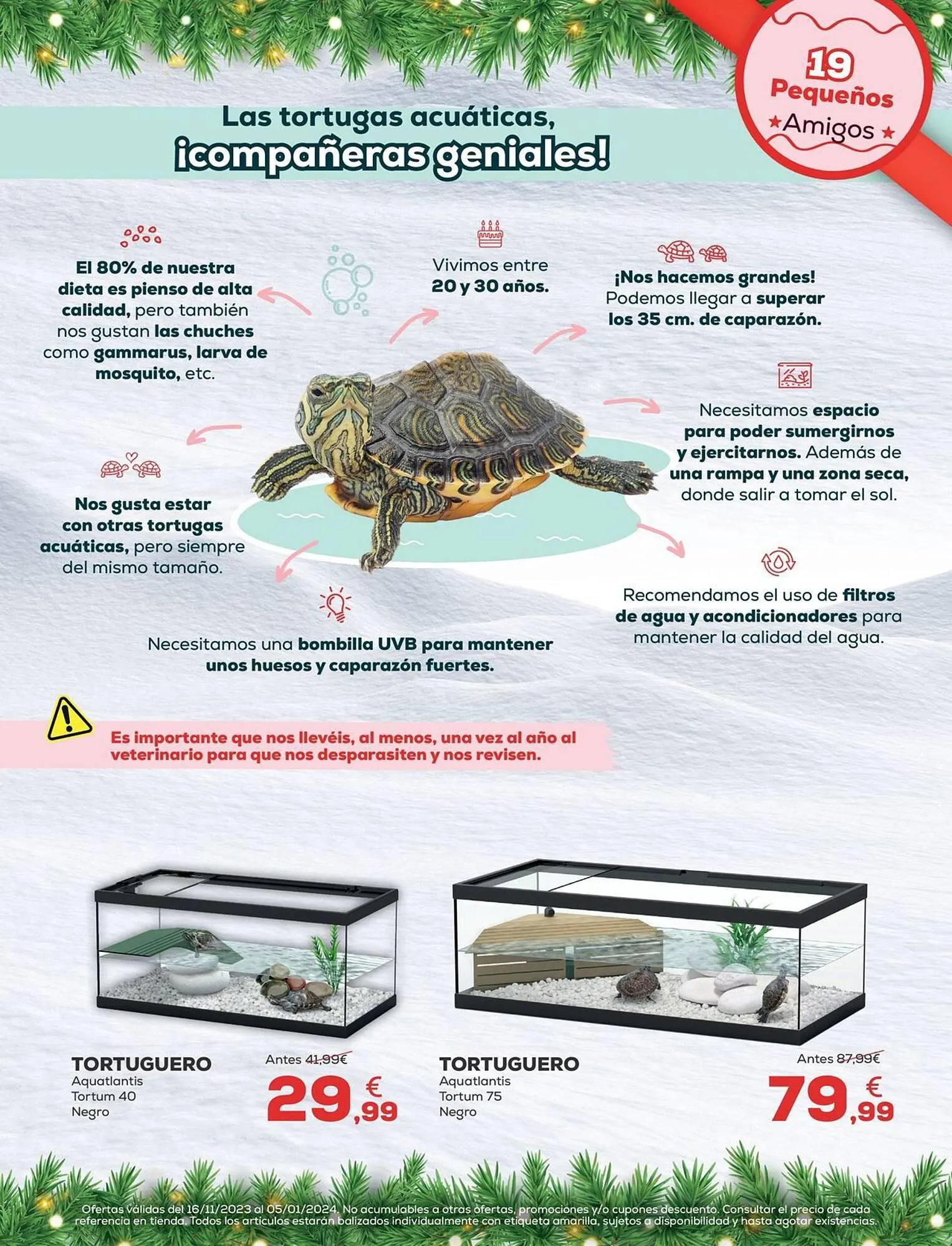 Catálogo de Folleto Kiwoko 23 de noviembre al 5 de enero 2024 - Página 19
