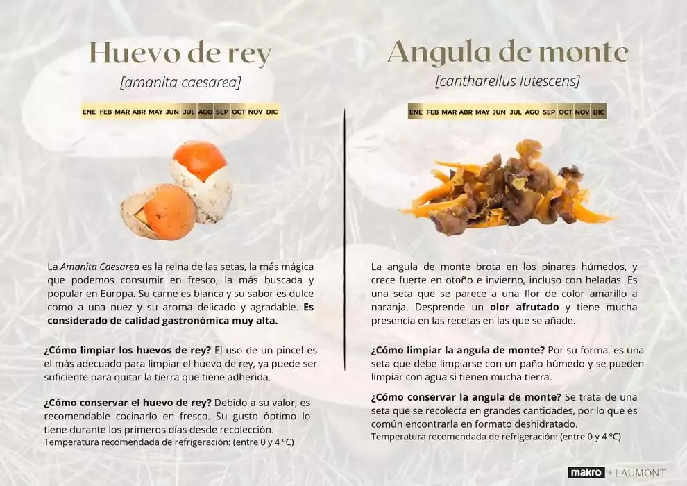 Catálogo de GUIA DE TRUFAS Y SETAS MAKRO - MAKRO 31 de diciembre al 14 de enero 2025 - Página 9