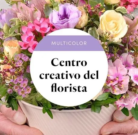 Centro creativo del florista - Multicolor