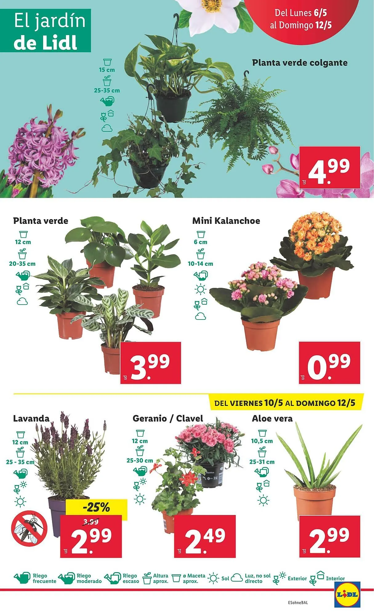 Catálogo de Folleto Lidl 6 de mayo al 12 de mayo 2024 - Página 13