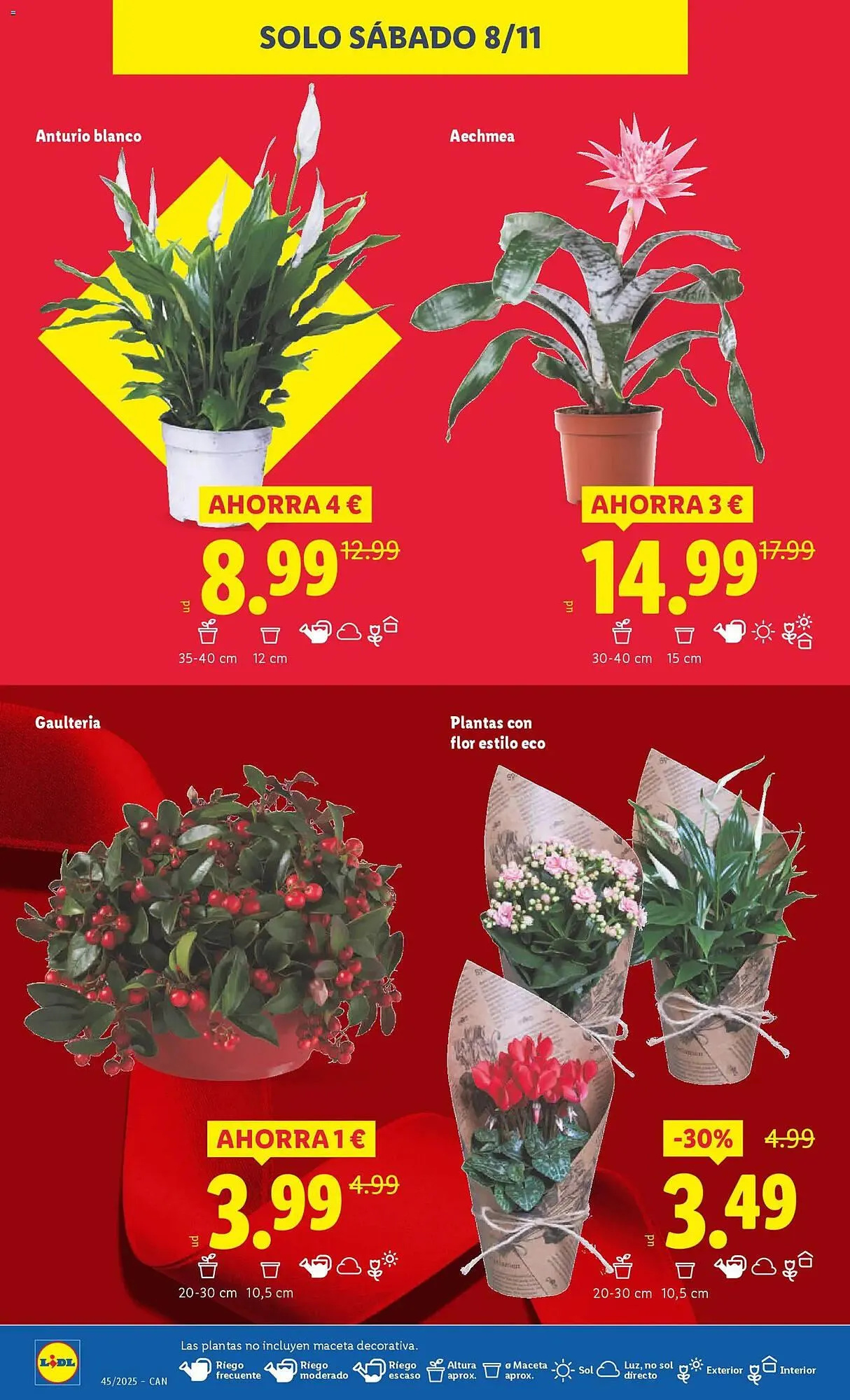 Catálogo de Catálogo Lidl 3 de noviembre al 9 de noviembre 2025 - Página 36