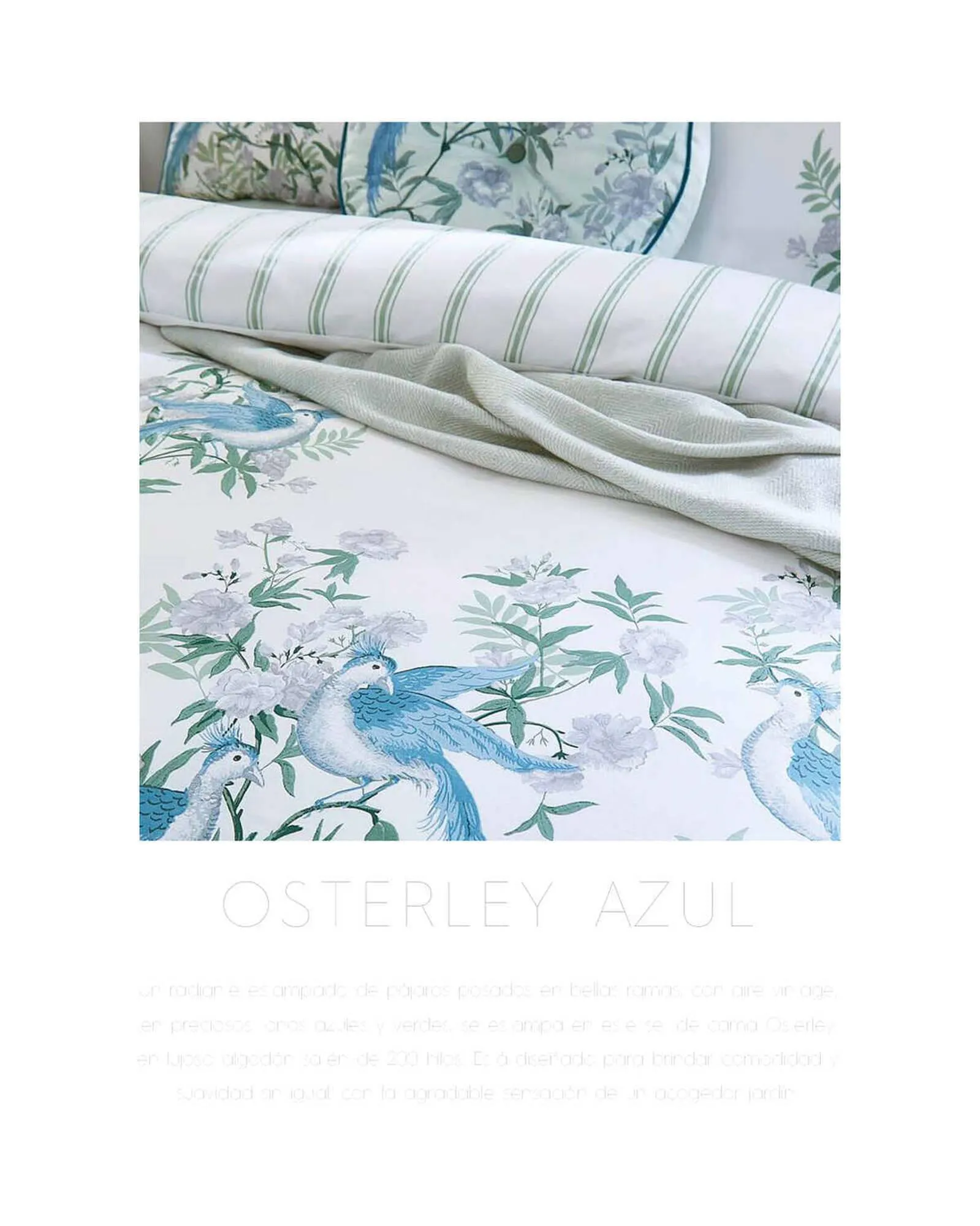 Catálogo de Folleto Laura Ashley 2 de marzo al 1 de febrero 2024 - Página 76