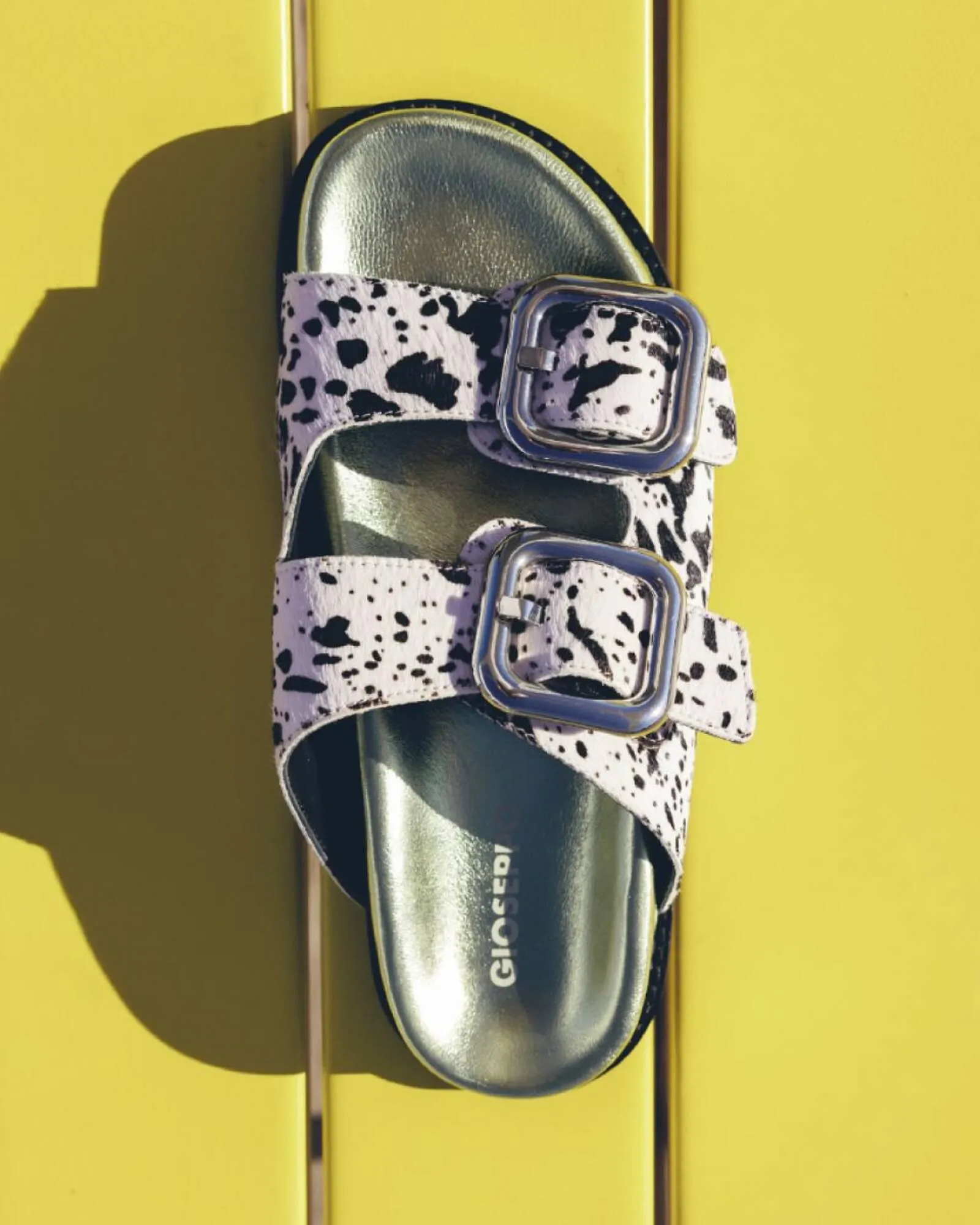 Catálogo de Folleto Gioseppo 11 de marzo al 24 de marzo 2025 - Página 3