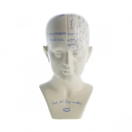 Cabeza Frenológica diseño 1845 Mariano Cubí