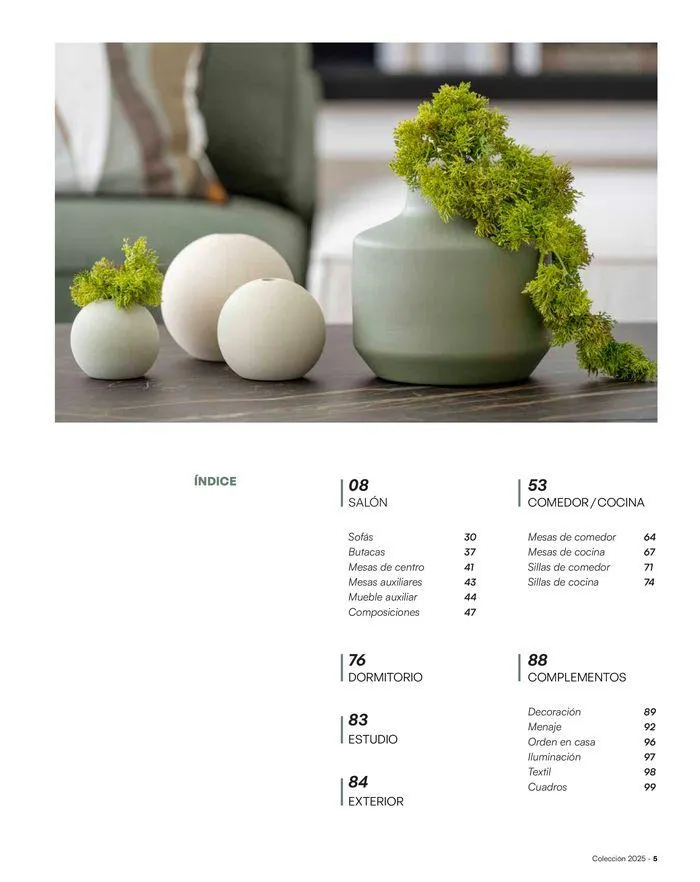 Catálogo de Colección 2025 1 de enero al 31 de diciembre 2025 - Página 5
