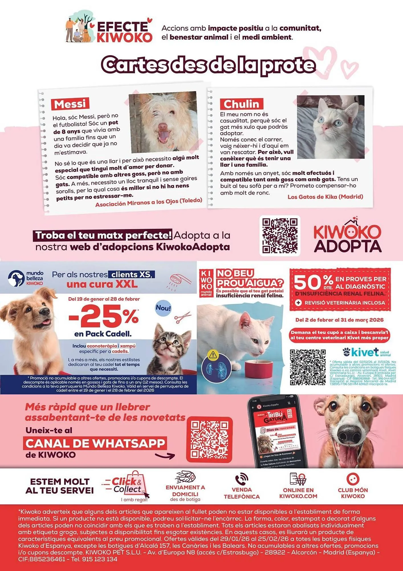 Catálogo de Folleto Kiwoko 29 de enero al 25 de febrero 2026 - Página 16