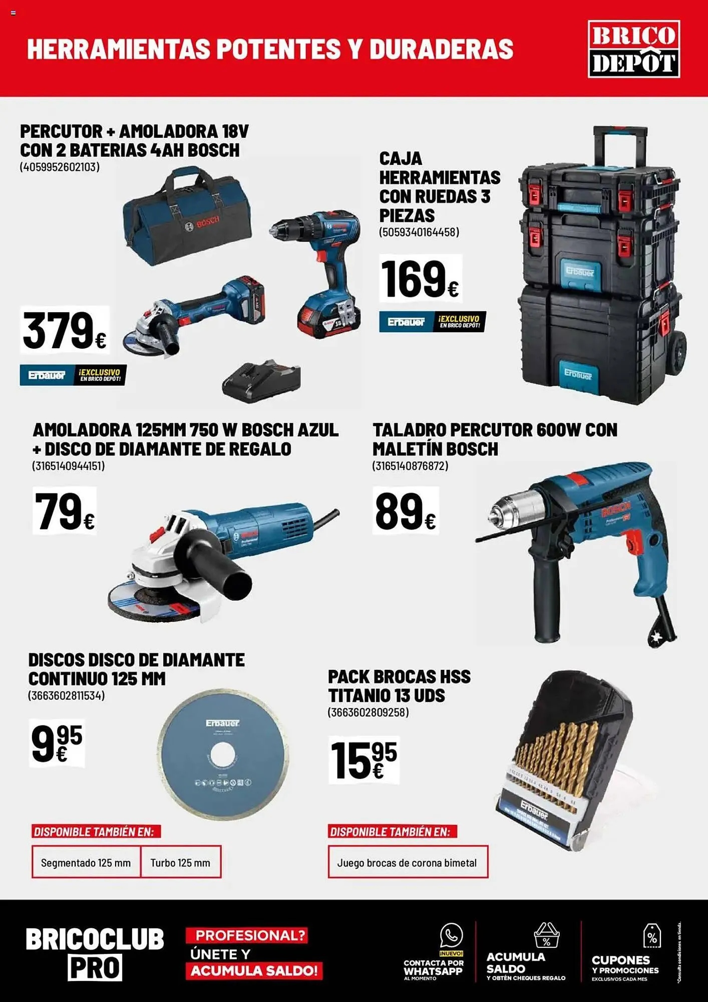 Catálogo de Folleto Brico Depôt 27 de febrero al 27 de marzo 2025 - Página 13