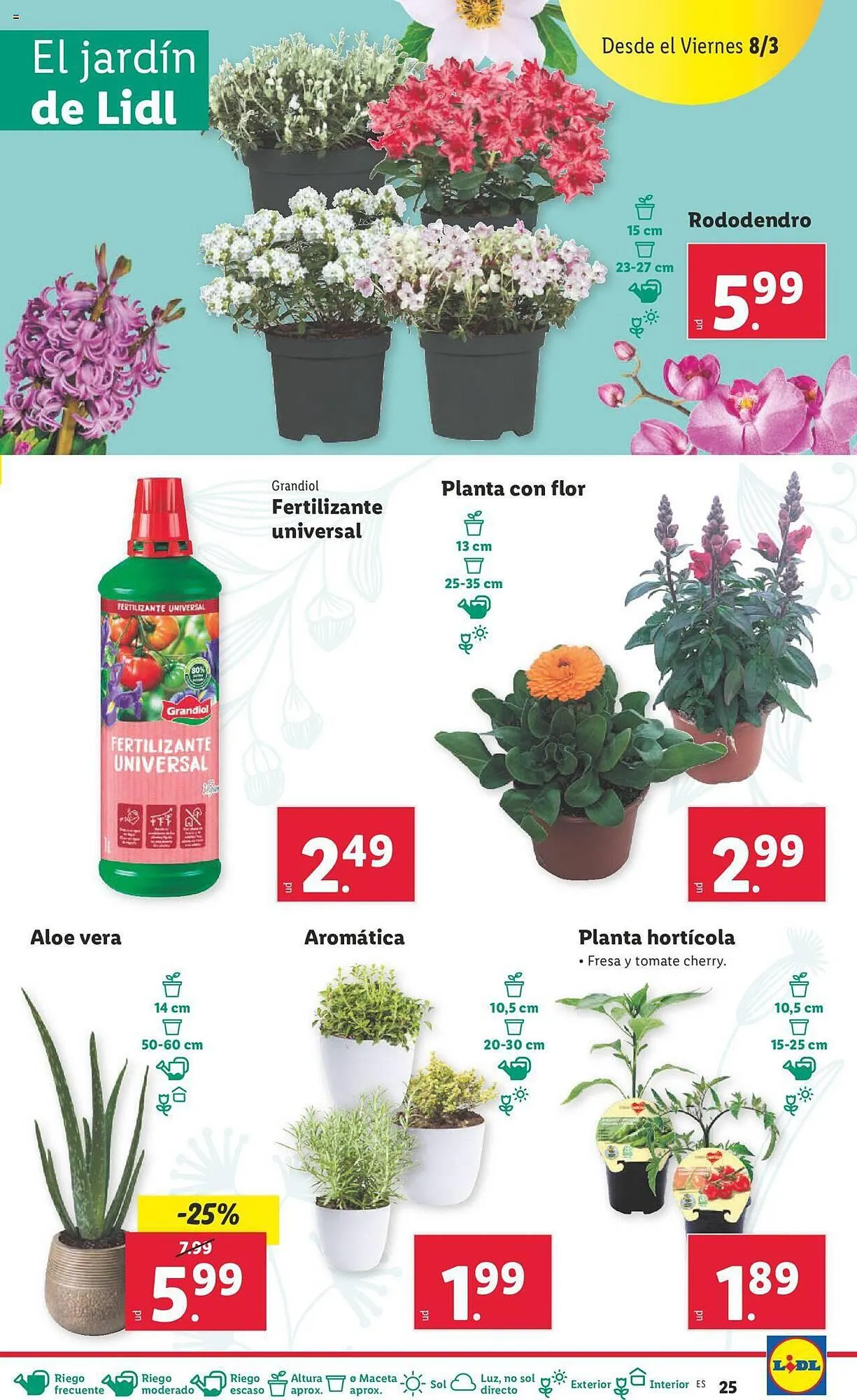 Catálogo de Folleto Lidl 4 de marzo al 10 de marzo 2024 - Página 25