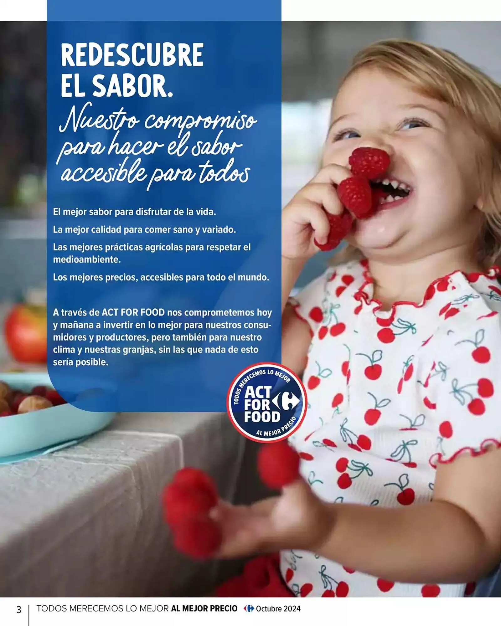 Catálogo de Folleto Carrefour 29 de enero al 30 de abril 2025 - Página 4