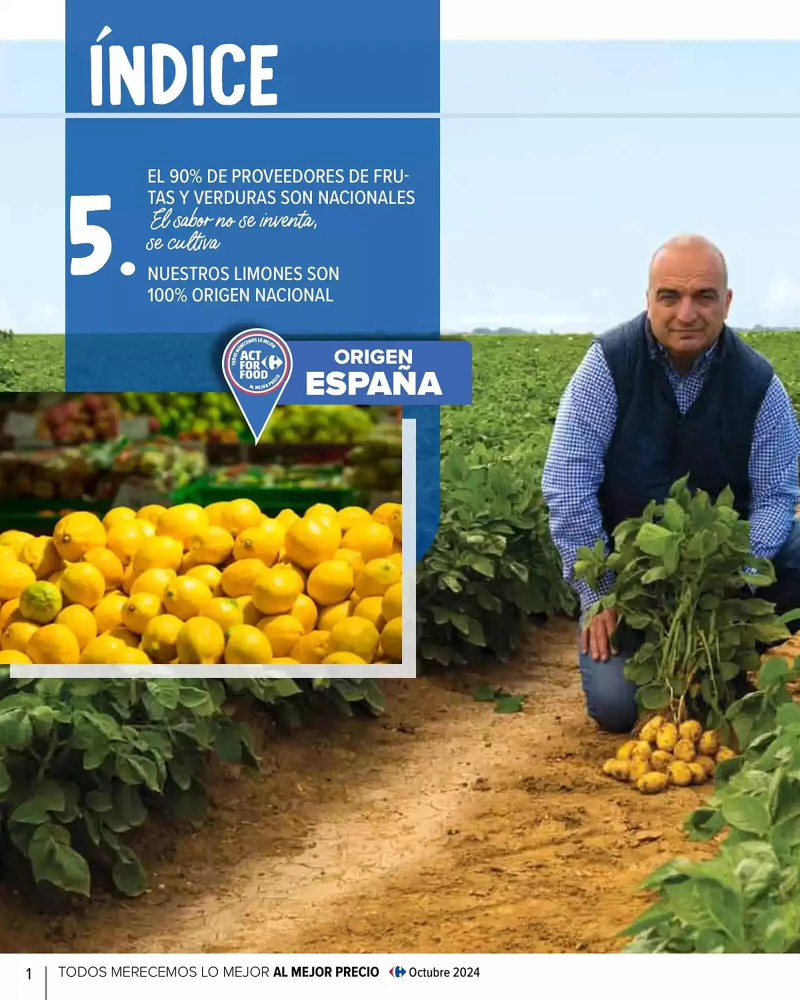 Catálogo de Folleto Carrefour 29 de enero al 30 de abril 2025 - Página 2