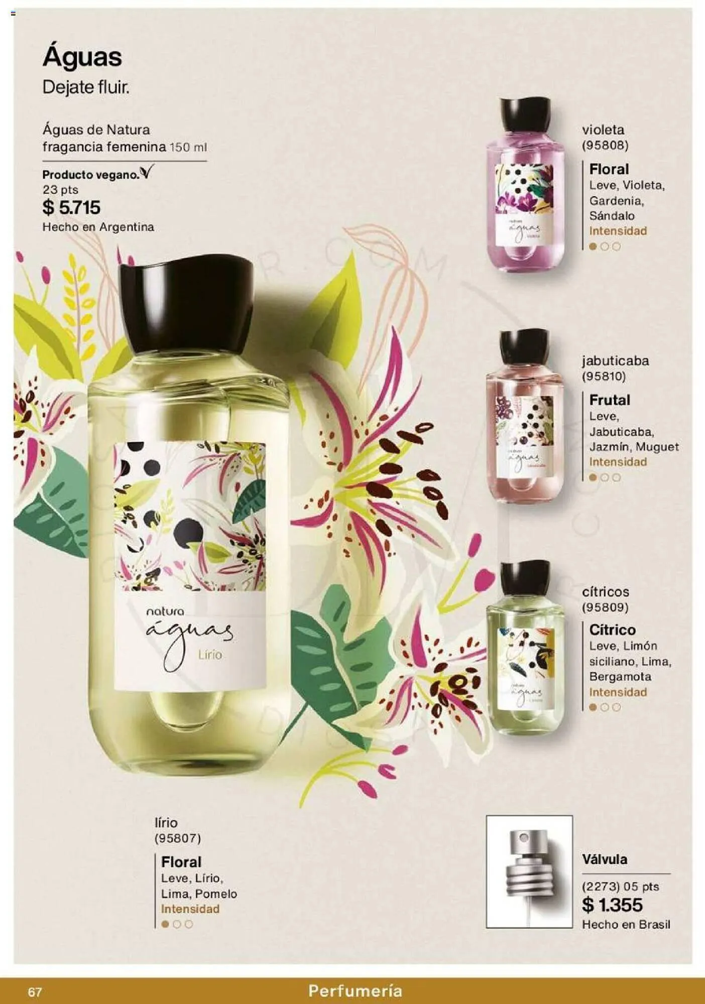 Catálogo de Folleto Natura 1 de septiembre al 30 de septiembre 2023 - Página 67