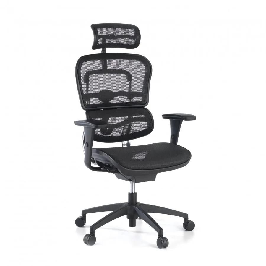 Silla Ergonómica Ergohuman One, alta gama, aluminio - Negro