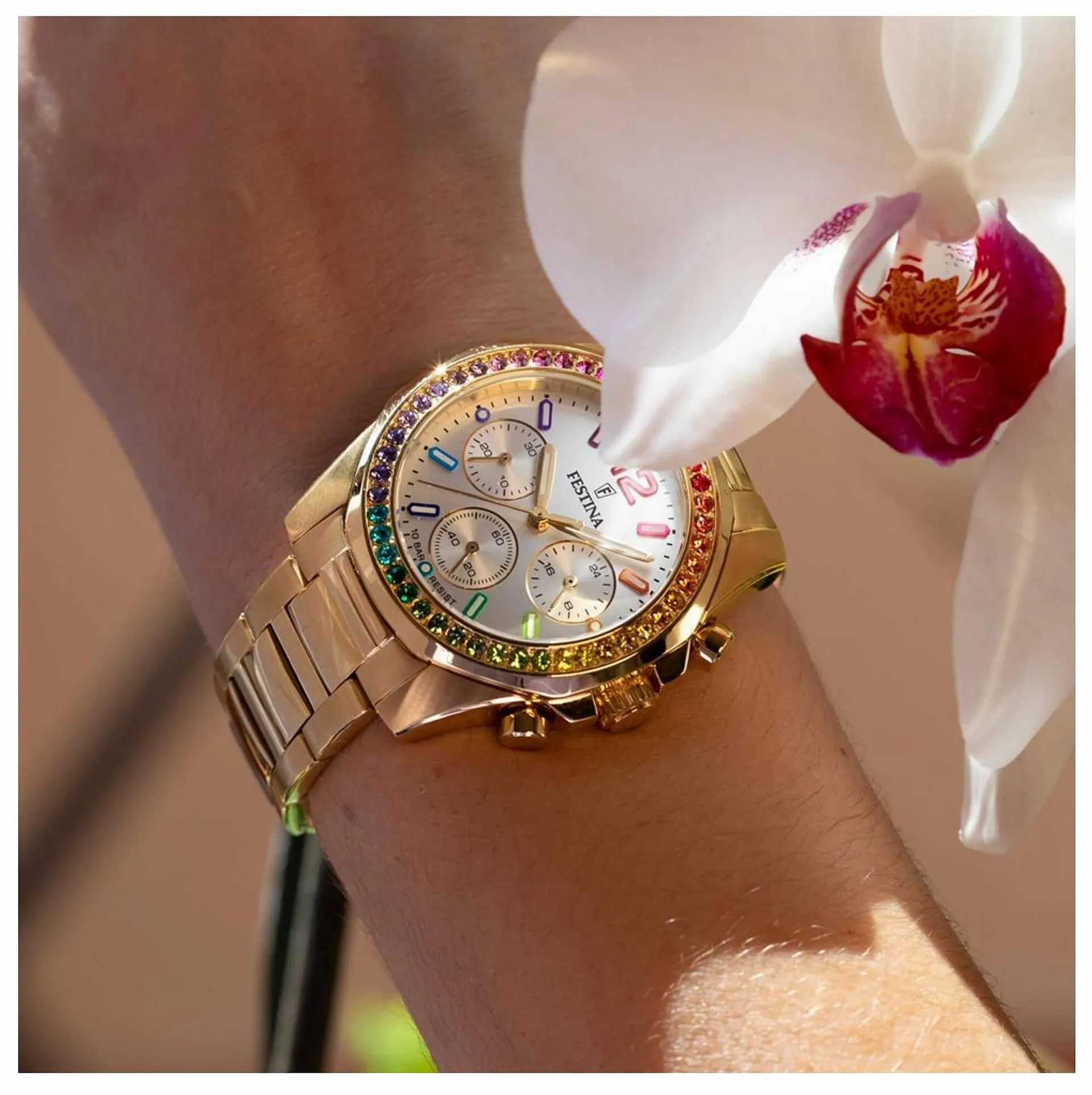 Catálogo de Folleto Time Road 10 de agosto al 10 de octubre 2023 - Página 7