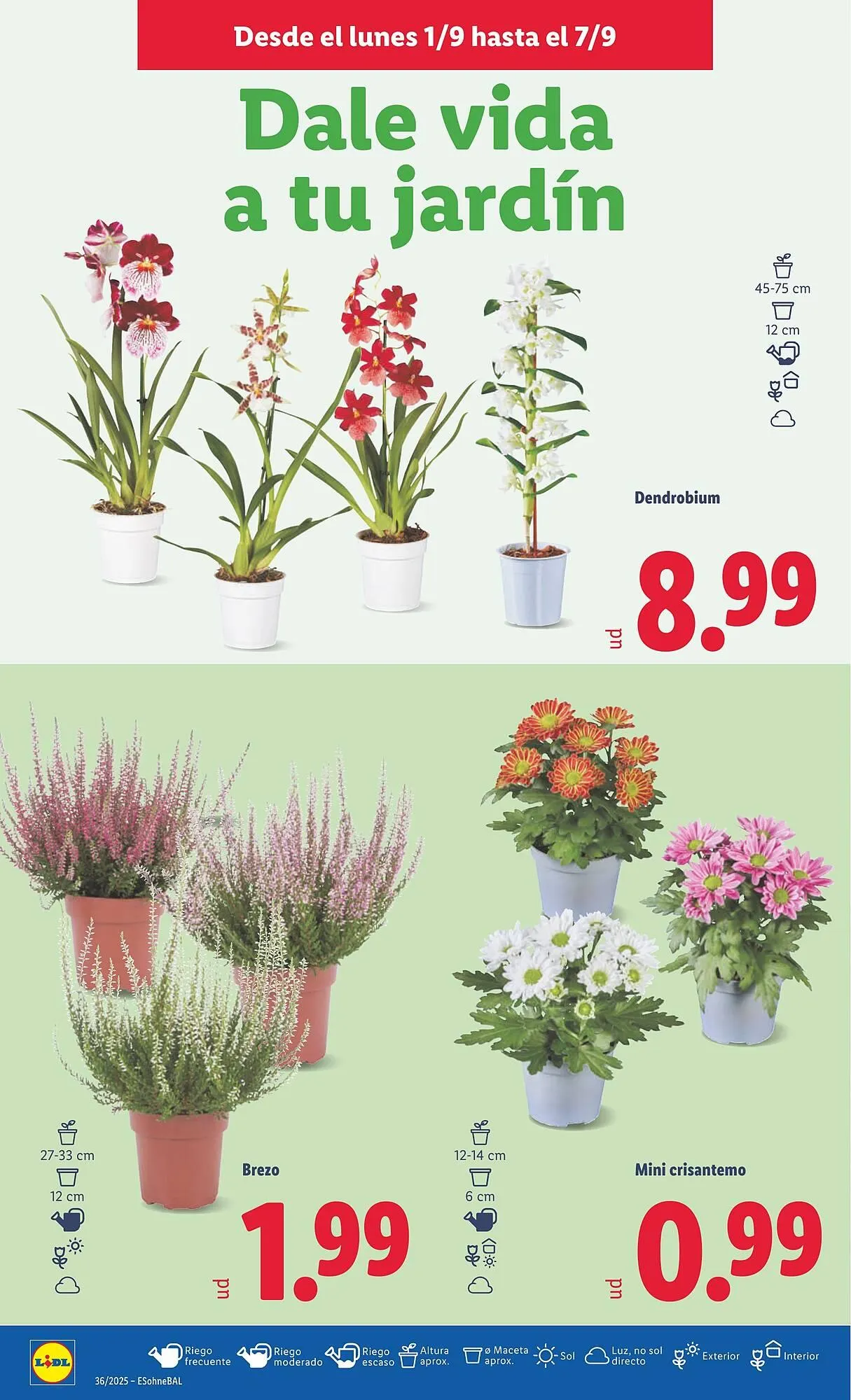 Catálogo de Folleto Lidl 1 de septiembre al 7 de septiembre 2025 - Página 52