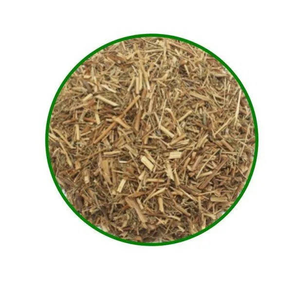 ABROTANO MACHO (50gr) – Herbolarios Doemi