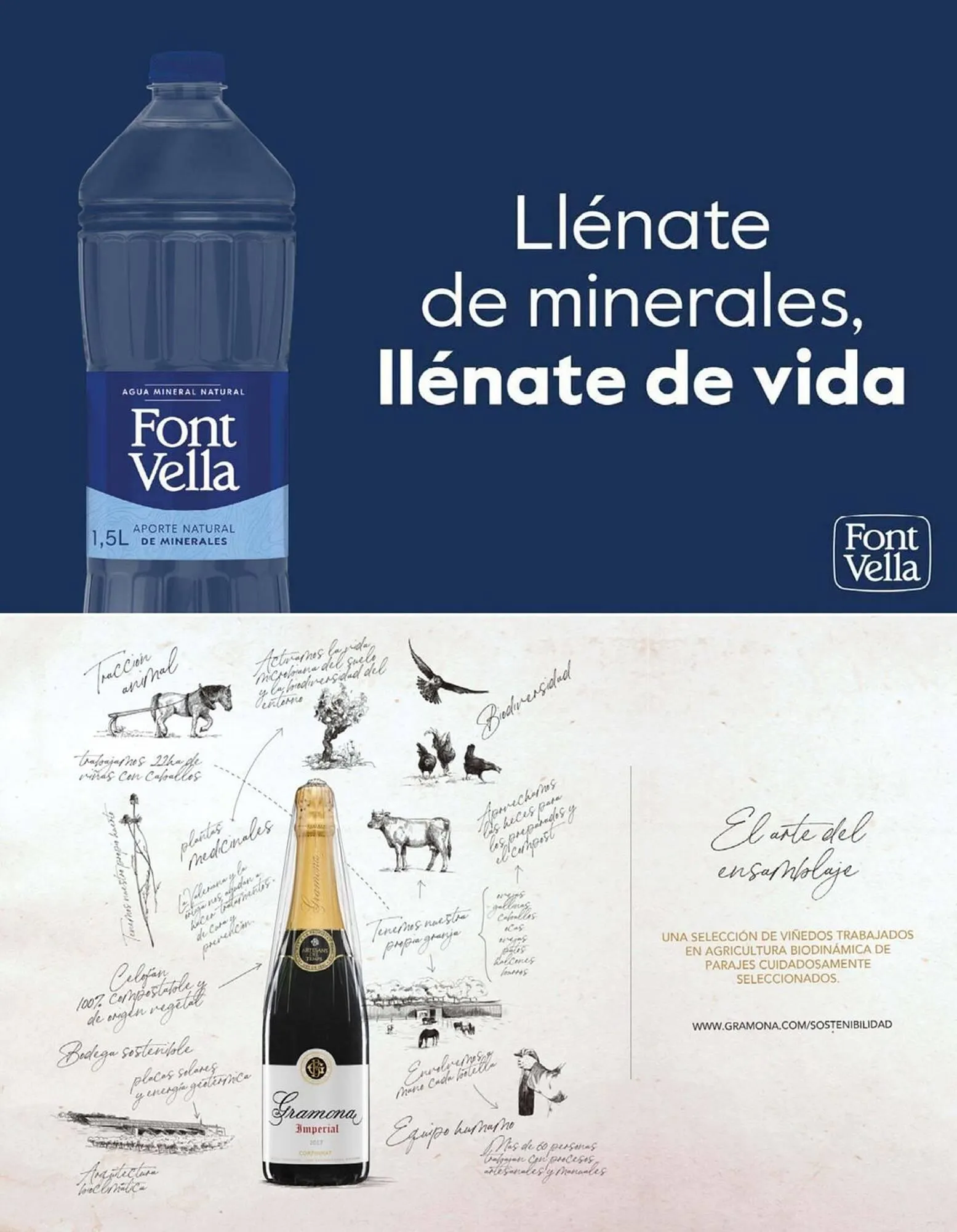 Catálogo de Catálogo Veritas 1 de diciembre al 31 de diciembre 2025 - Página 41