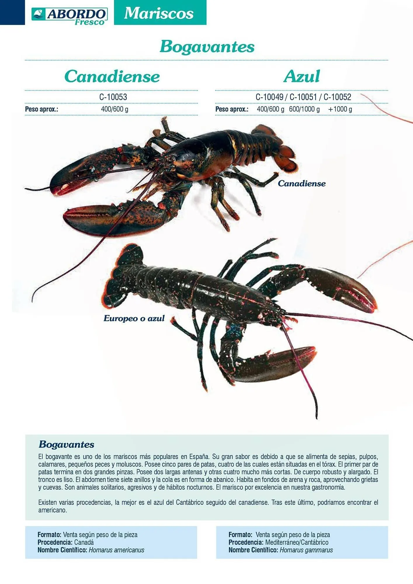 Catálogo de Folleto Abordo 5 de marzo al 30 de junio 2026 - Página 32