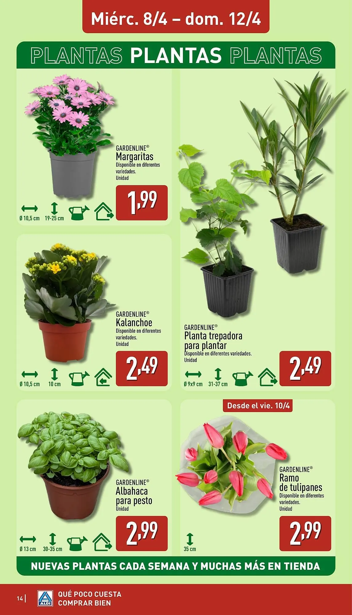 Catálogo de Folleto ALDI 6 de abril al 12 de abril 2026 - Página 14