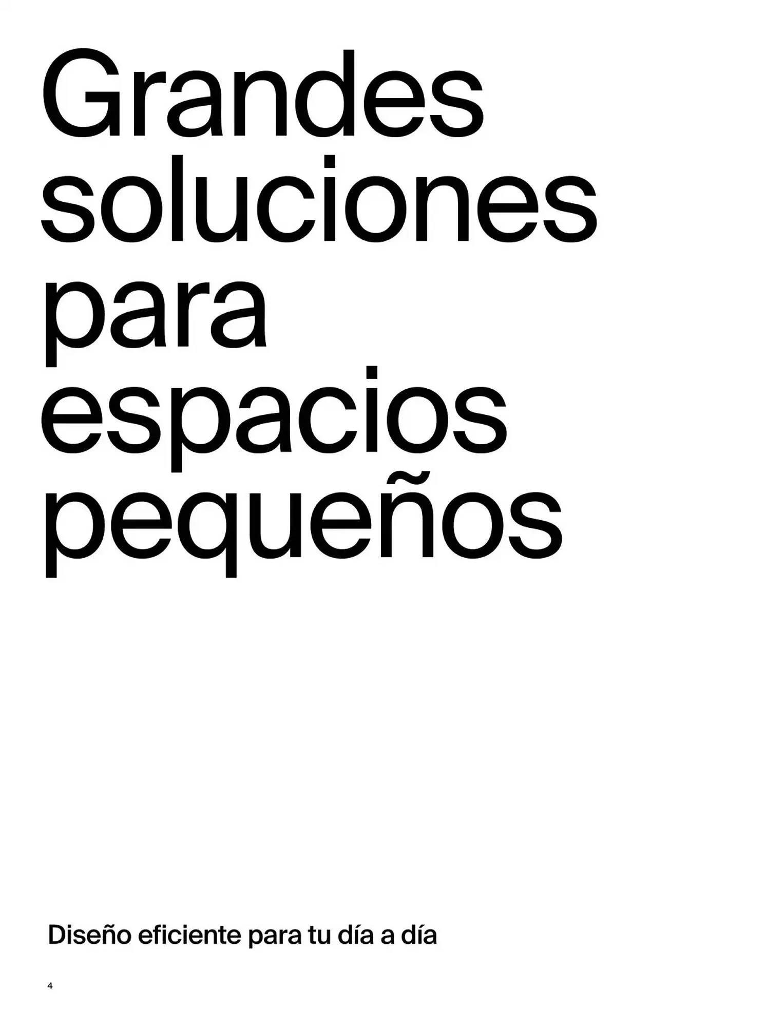 Catálogo de Folleto Roca 9 de enero al 31 de diciembre 2025 - Página 6