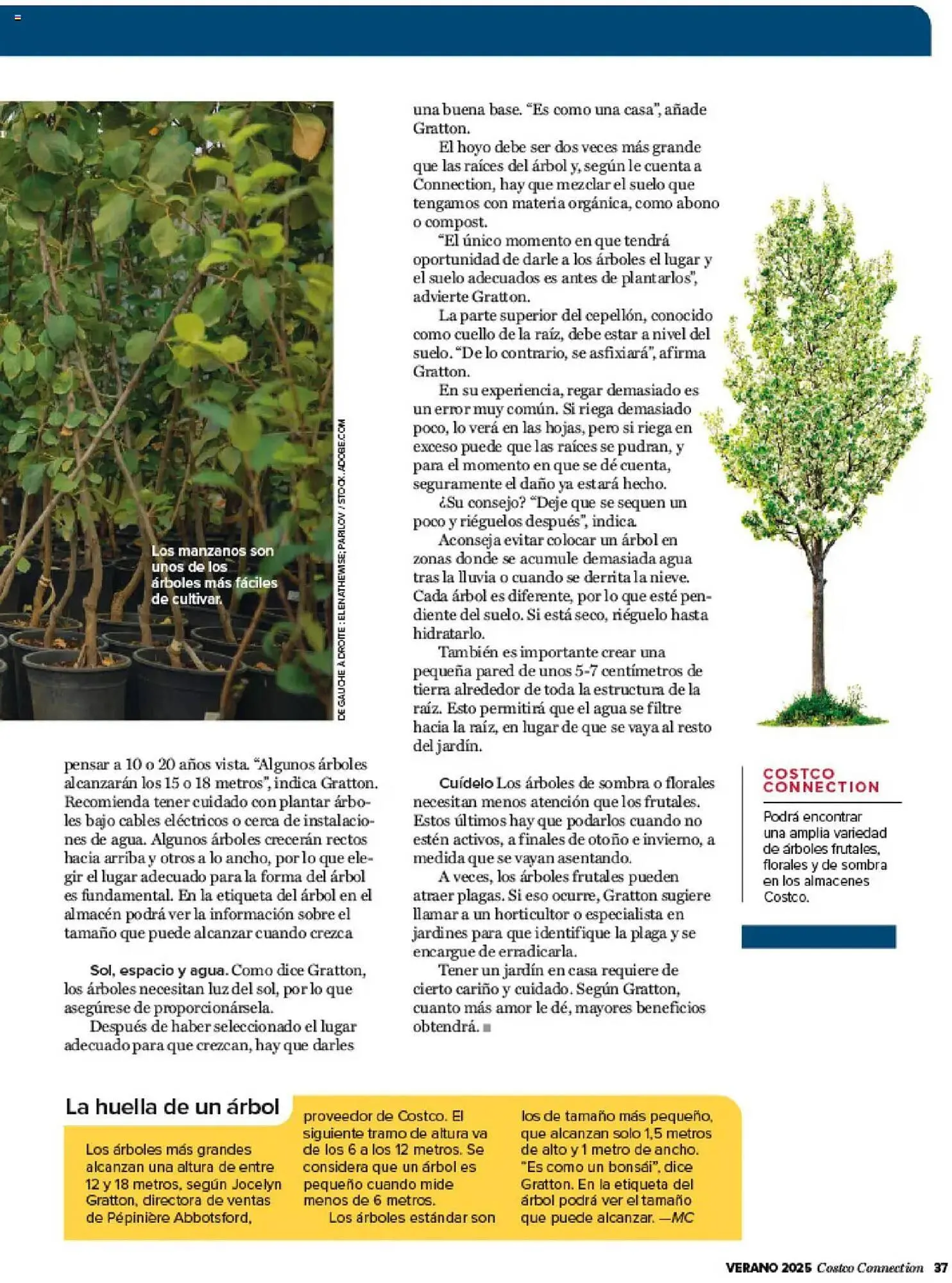 Catálogo de Folleto Costco 3 de julio al 31 de agosto 2025 - Página 37