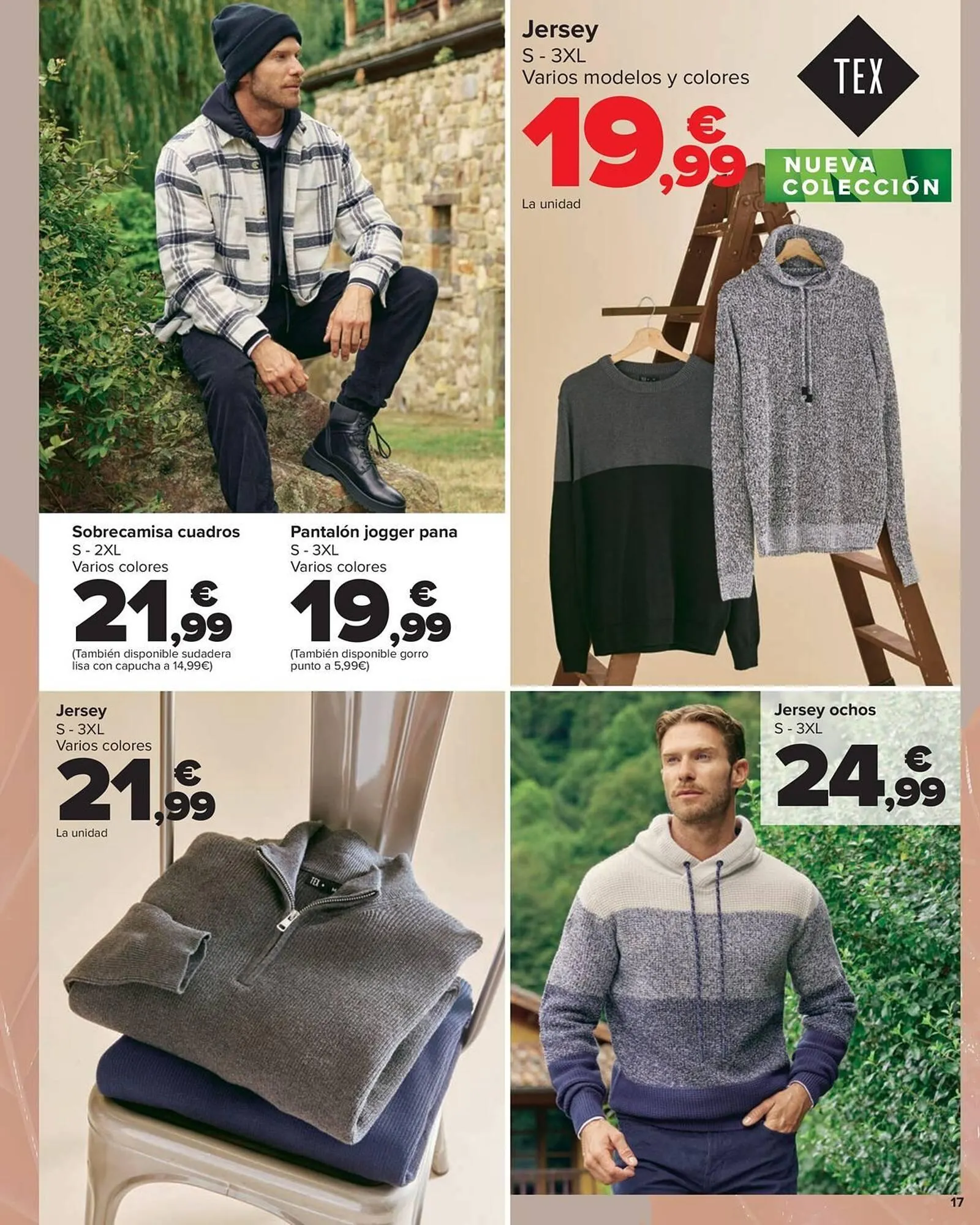 Catálogo de Folleto Carrefour 23 de octubre al 12 de noviembre 2025 - Página 17