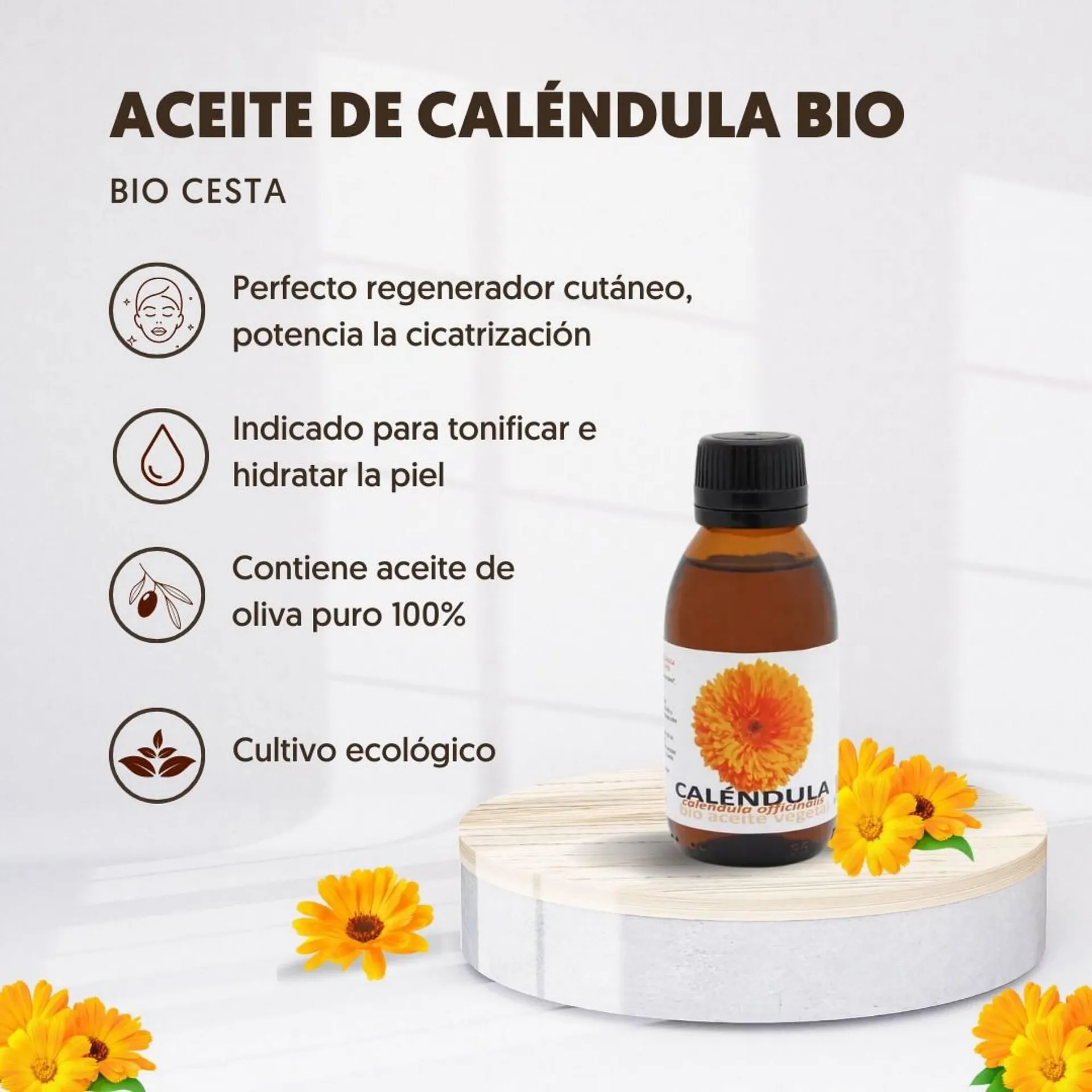 Folleto Herbolario Navarro - 1