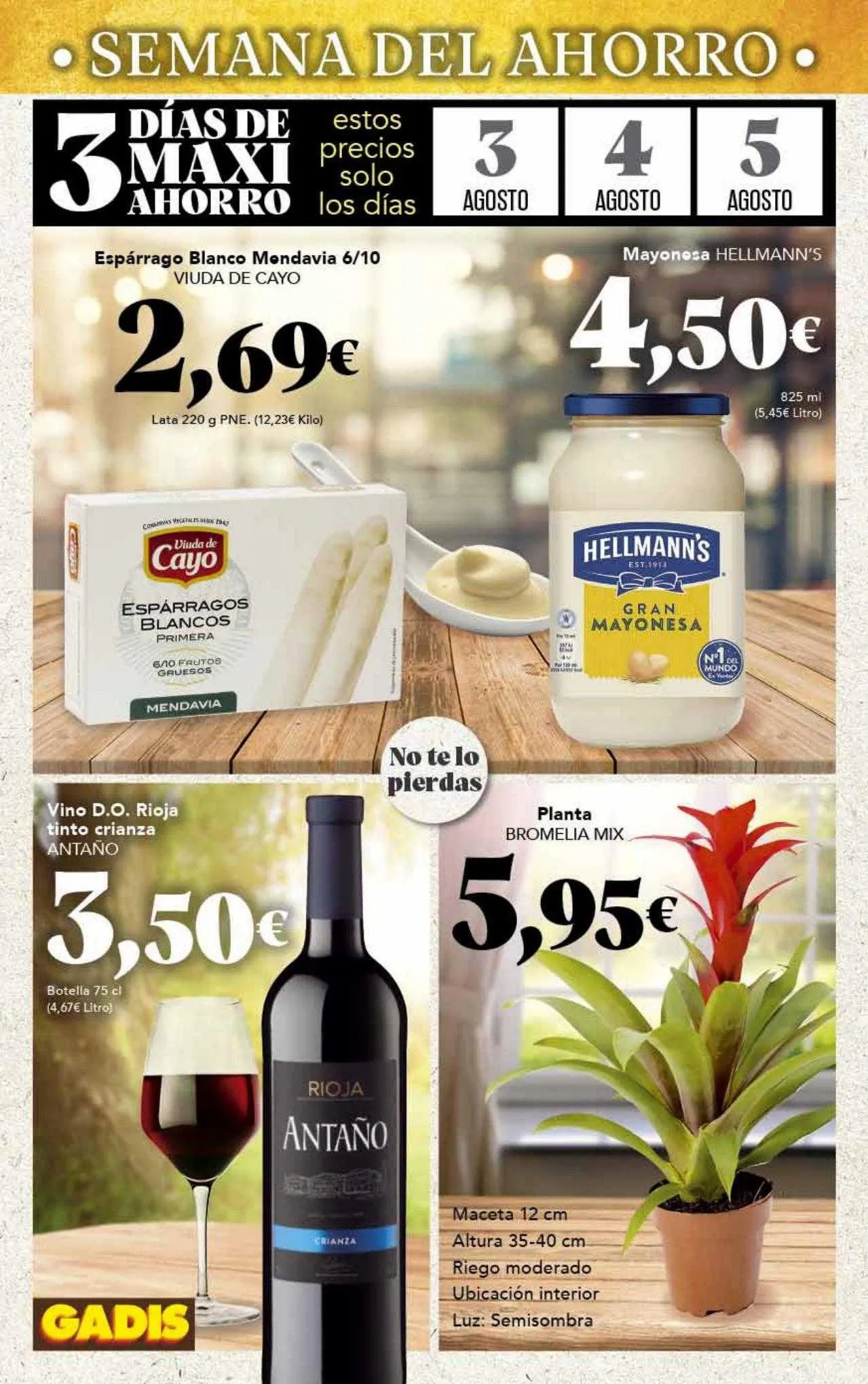 Catálogo de Gadis Folleto 1 de agosto al 26 de agosto 2023 - Página 2