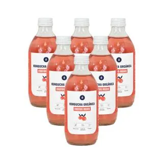 Pack 6x Kombucha ECO Frutos rojos Planeta Huerto 330 ml