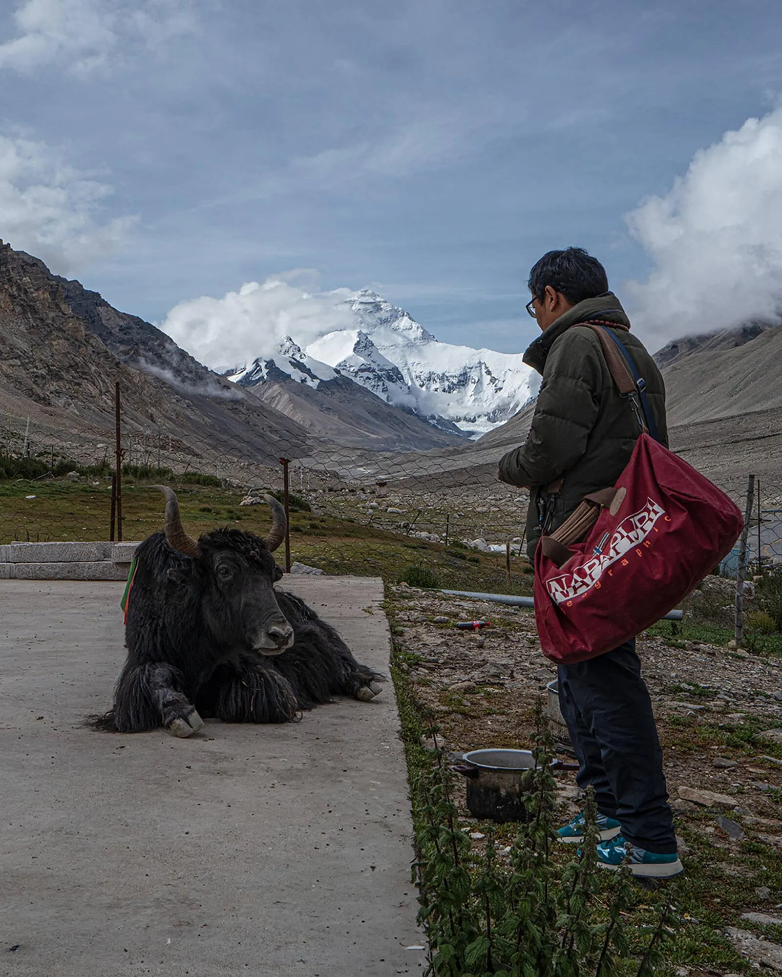 Catálogo de Folleto Napapijri 30 de noviembre al 10 de enero 2026 - Página 2