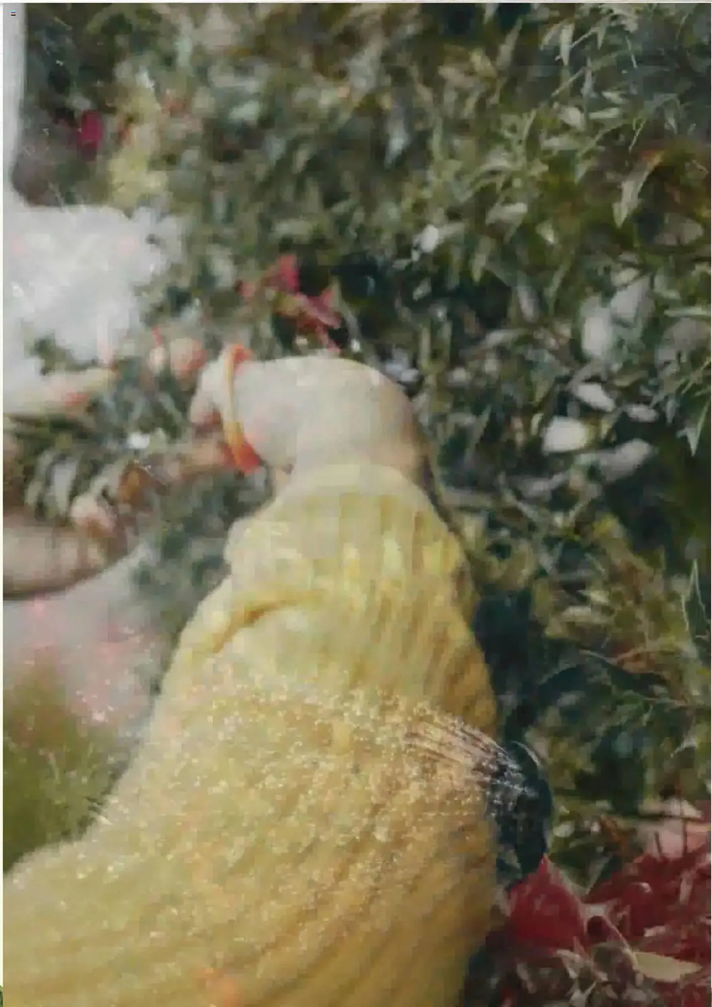 Catálogo de Folleto Alcampo 11 de febrero al 31 de diciembre 2025 - Página 10