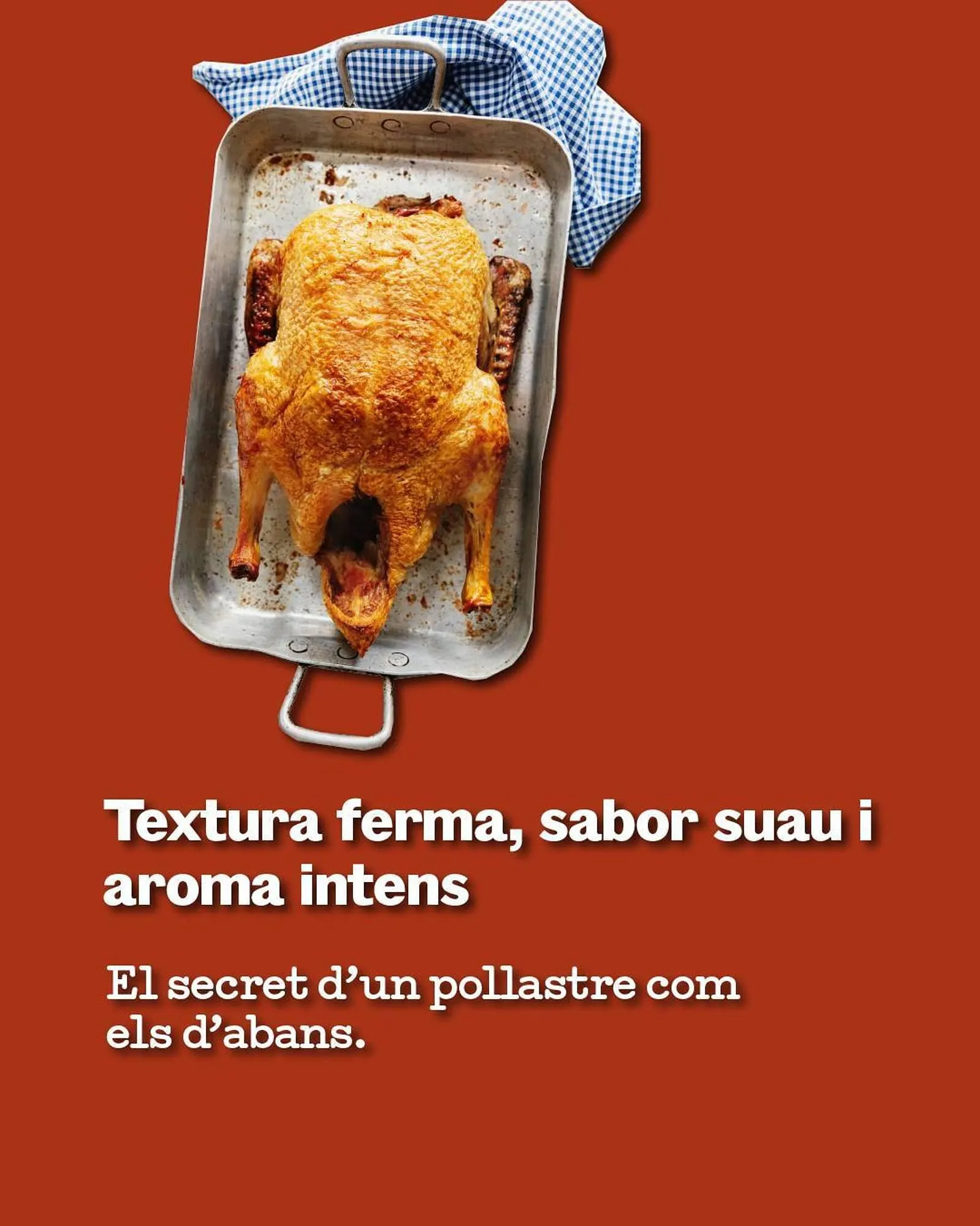 Catálogo de Catálogo Sorli 12 de diciembre al 18 de diciembre 2025 - Página 5