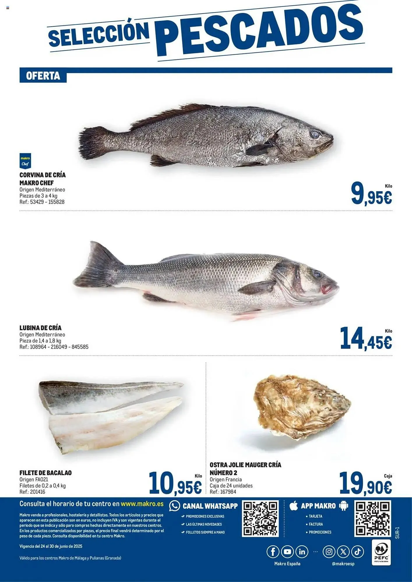 Catálogo de Folleto Makro 24 de junio al 30 de junio 2025 - Página 4