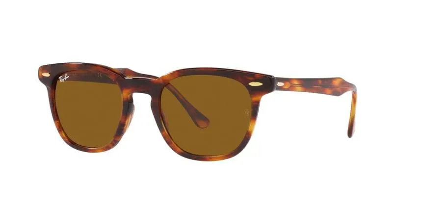 ray-ban hawkeye rb 2298
