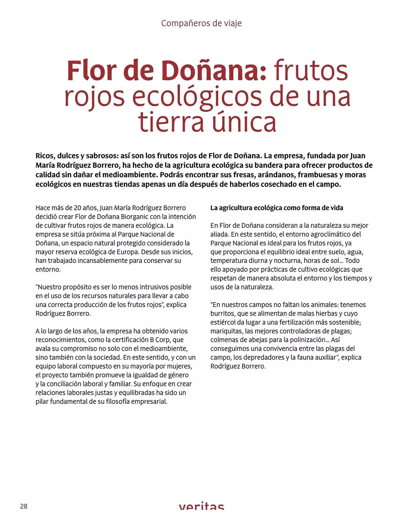 Catálogo de Folleto Veritas 1 de abril al 31 de mayo 2025 - Página 28