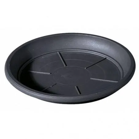 PLATO DAY R ANTRACITA