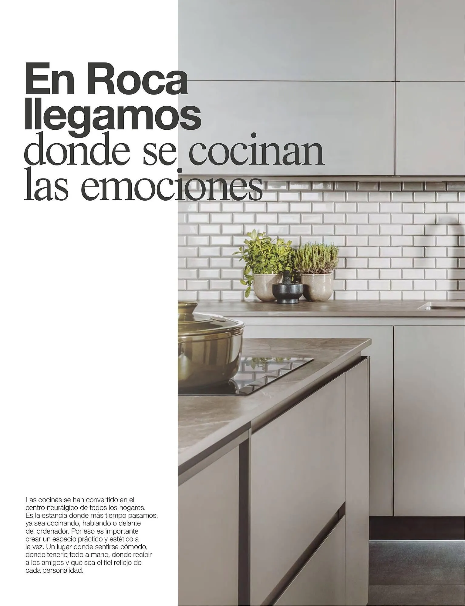 Catálogo de Folleto Roca 21 de febrero al 4 de enero 2025 - Página 3