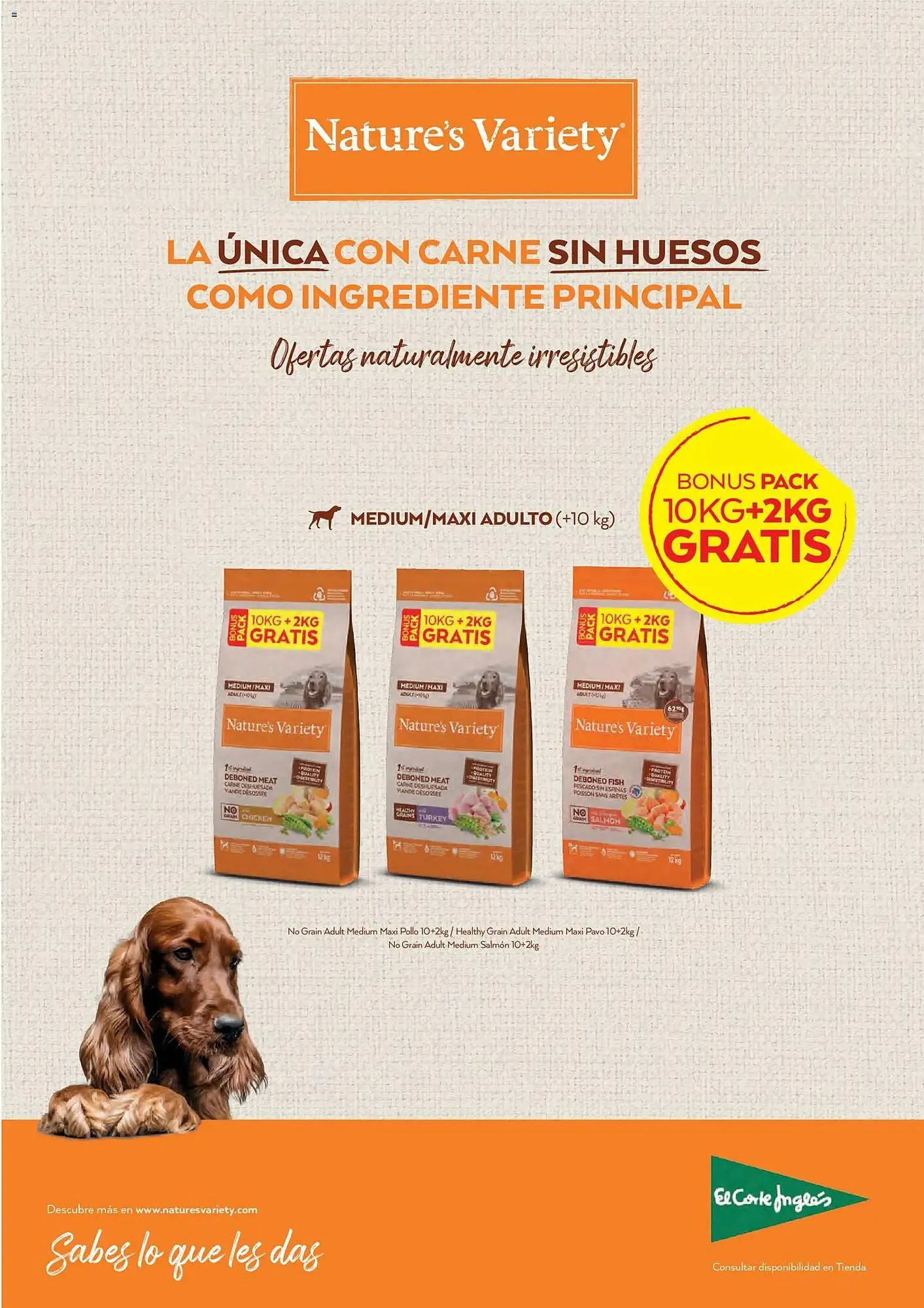 Catálogo de Catálogo El Corte Inglés 1 de febrero al 28 de febrero 2026 - Página 19